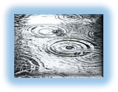 stormwater image
