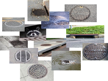 stormwater image