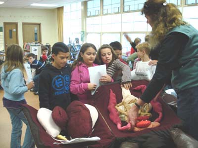 BBAC School Education Programs BBAC School Education Programs